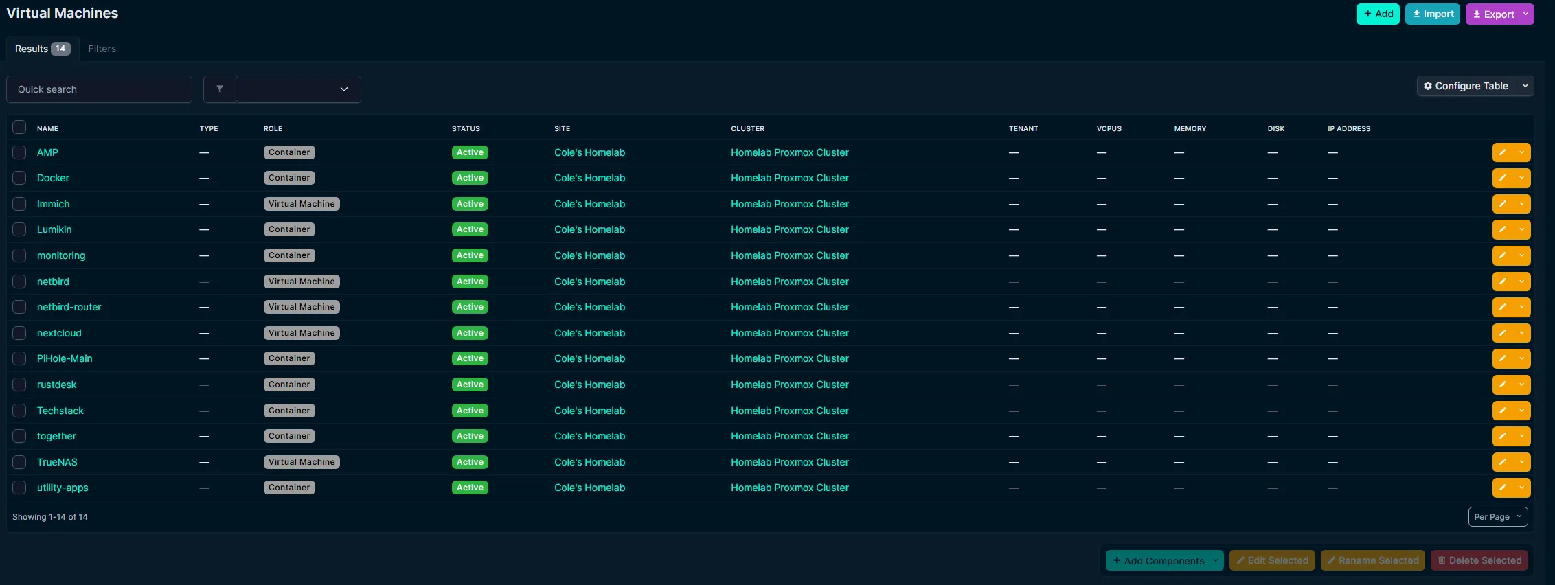 NetBox virtual machine inventory showing active workloads associated with the homelab Proxmox cluster.